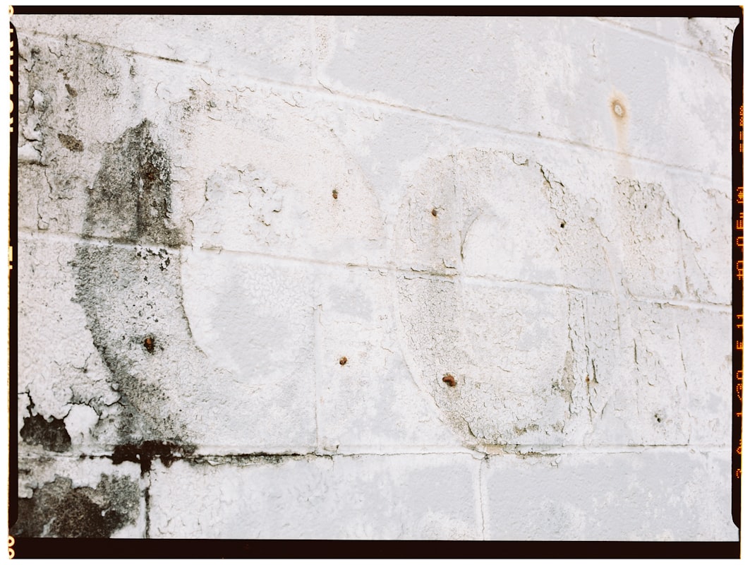 Flood Cleanup service in Oakland, CA